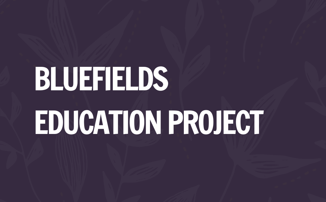 Bluefields Education Project